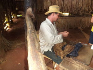 Campesino haciendo tabaco